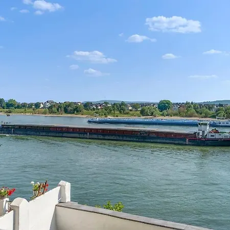 Beautiful Right On The Rhine