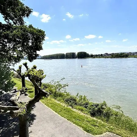 Apartman Beautiful Right On The Rhine Neuwied